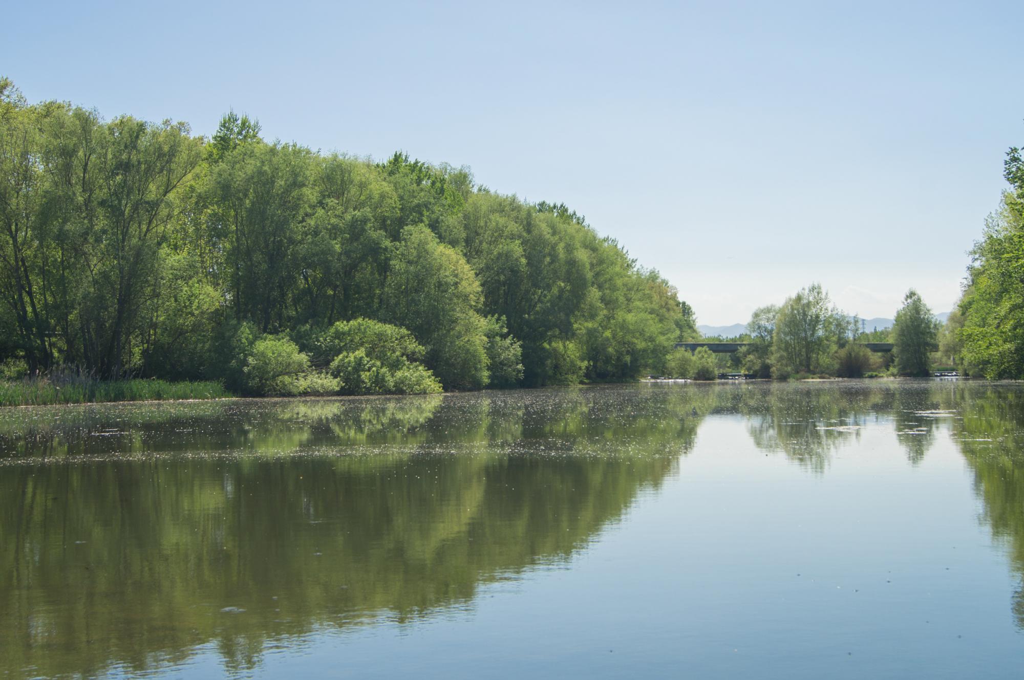 River Ter in Girona