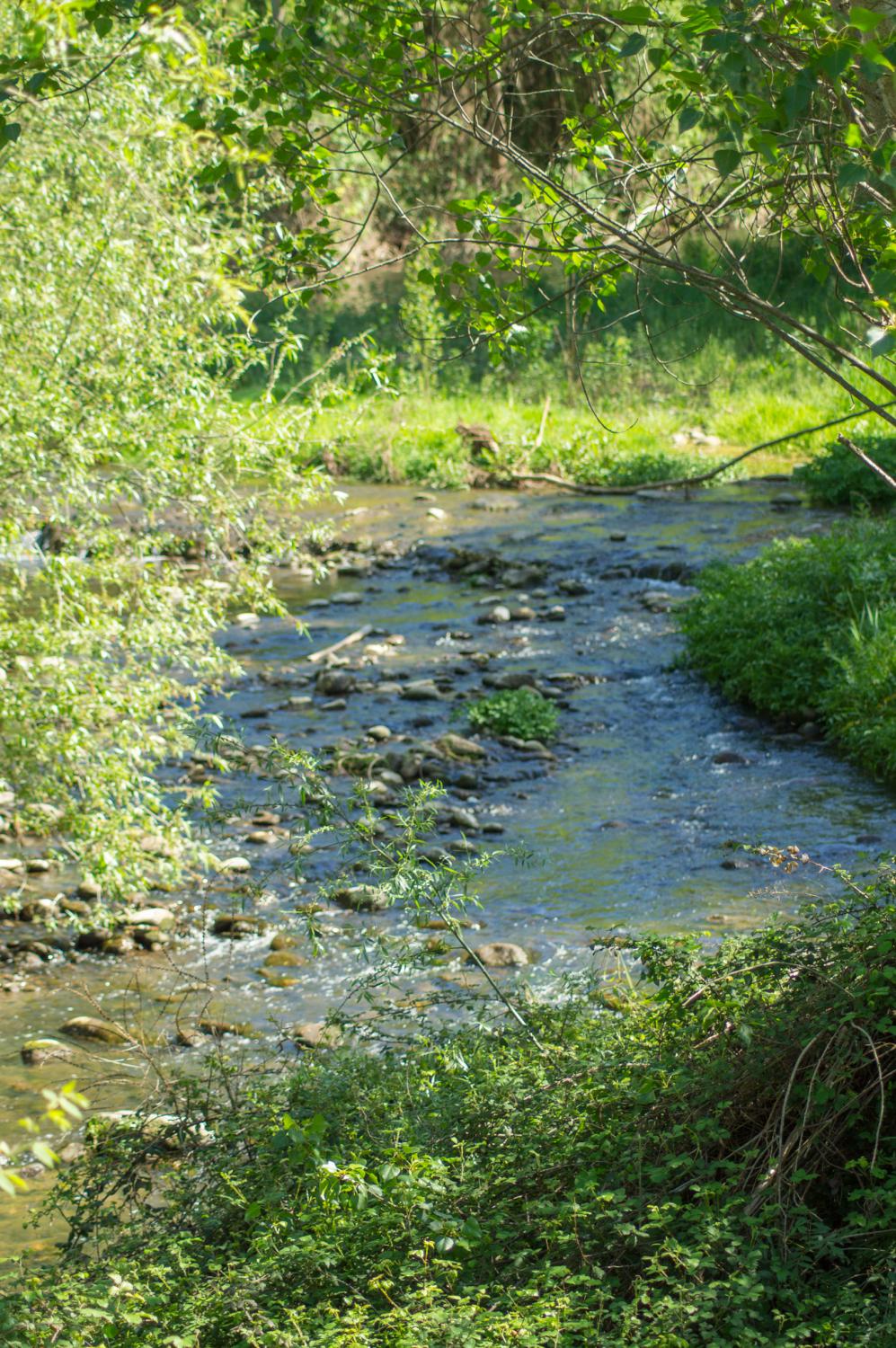 River Ter in Girona