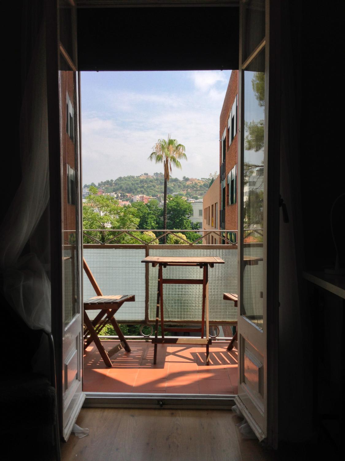 Morning view on the balcony, a palm tree and a hill in Barcelona