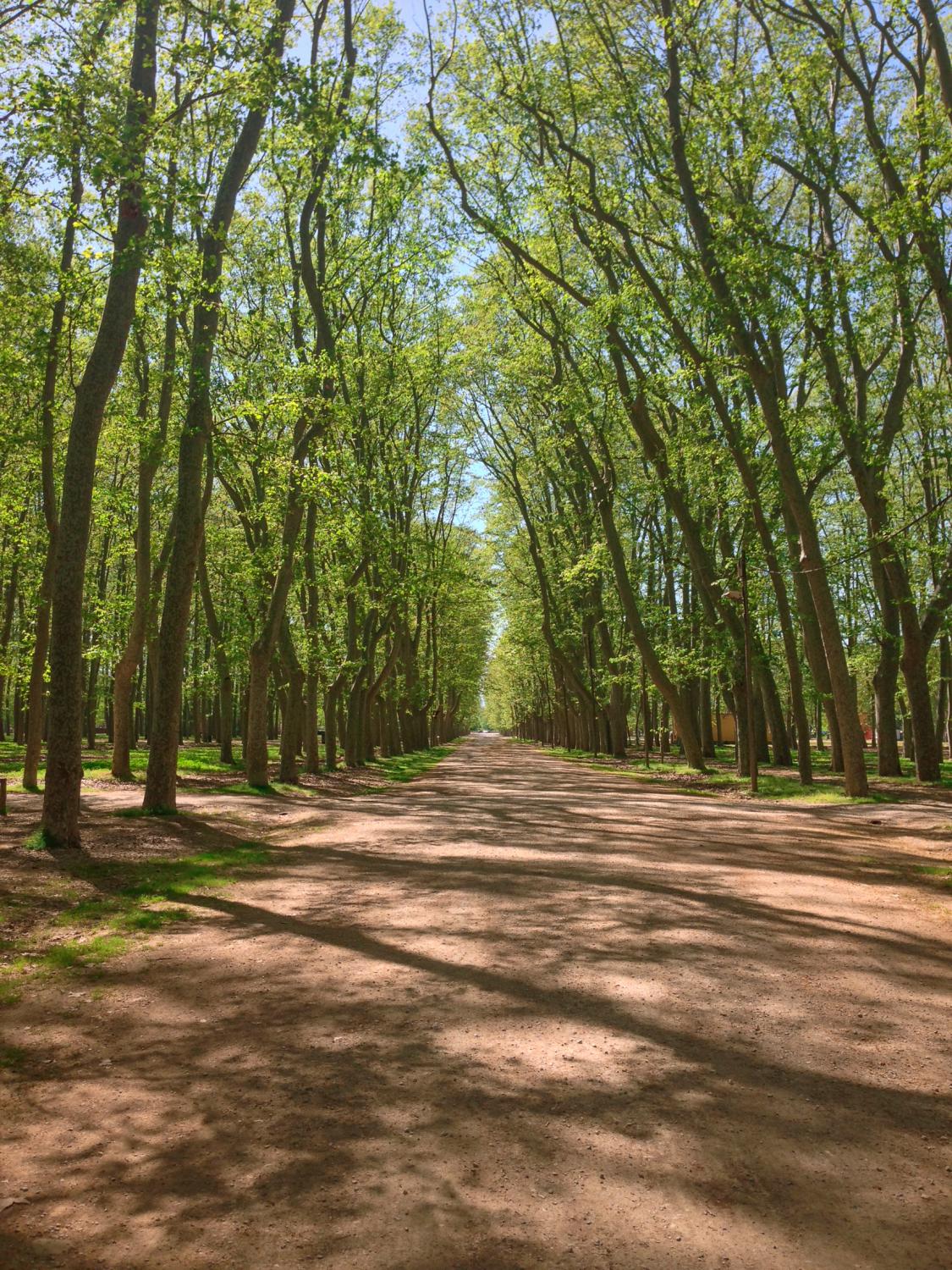 Parc de la Devesa in Girona