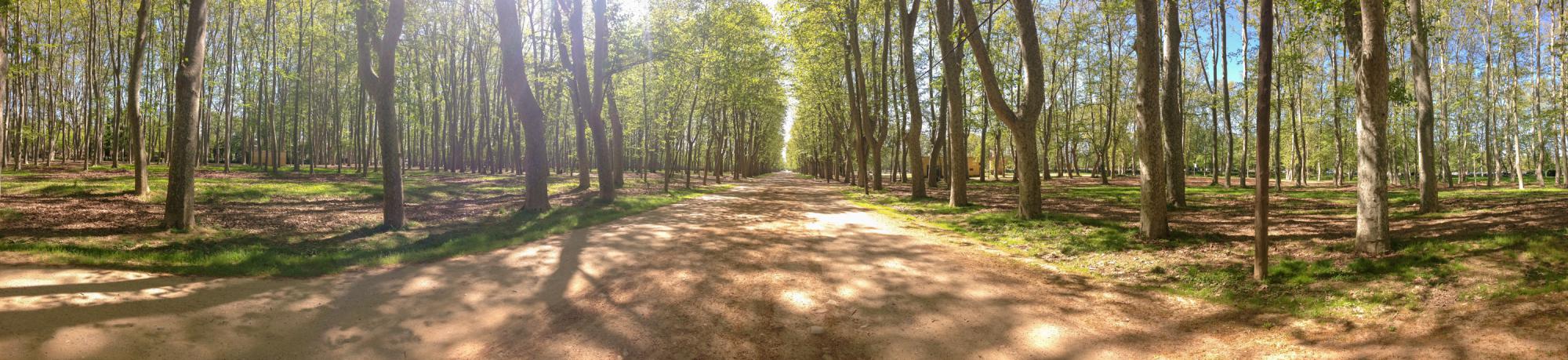 Panoramic photo of Parc de la Devesa in Girona