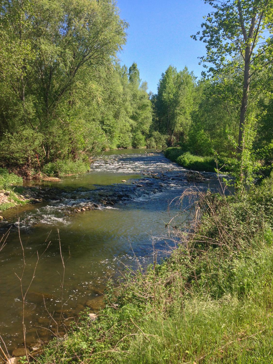 River Ter in Girona